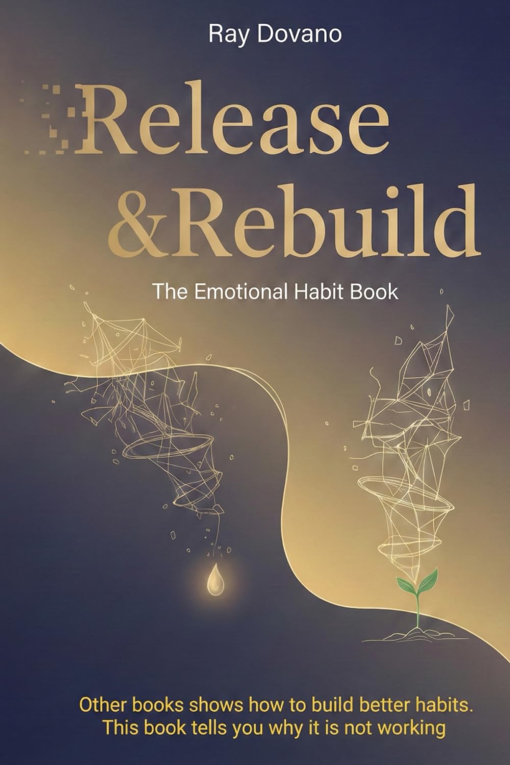 Release & Rebuild: The Emotional Habit Book