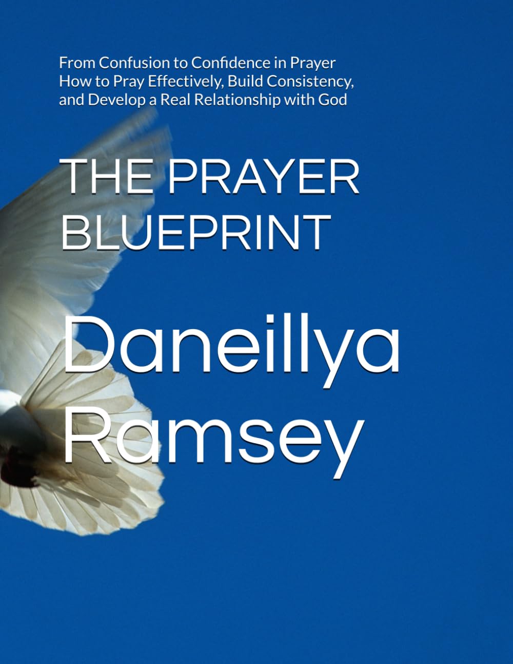 THE PRAYER BLUEPRINT: From Confusion to Confidence in Prayer How to Pray Effectively, Build Consistency, and Develop a Real Relationship with God
