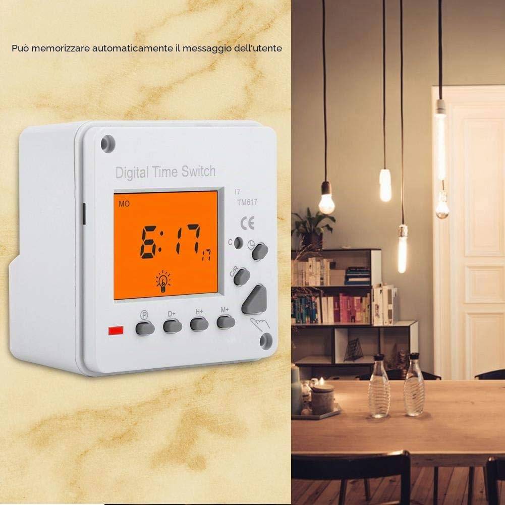 220V Controllo Intelligente Timer Digitale Elettrico Programmabile Interruttore Timer con Display Retroilluminato per Elettrodomestico Cartellone Pubblicitario Lampada da Strada Luce al Neon (220V)