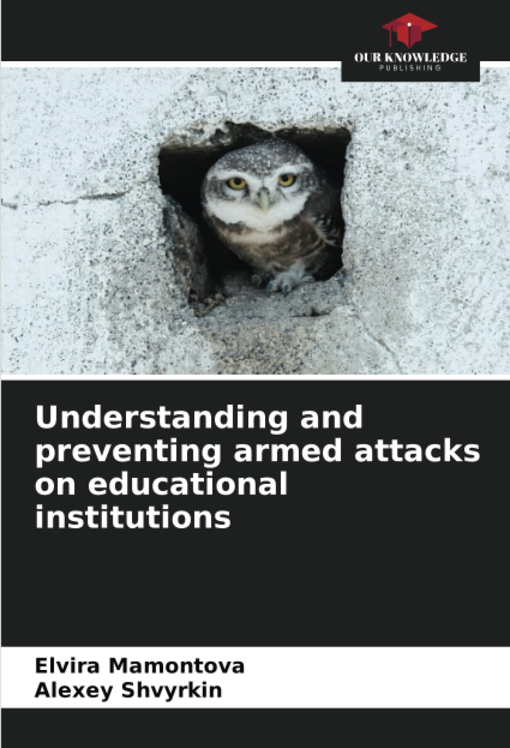 Understanding and preventing armed attacks on educational institutions