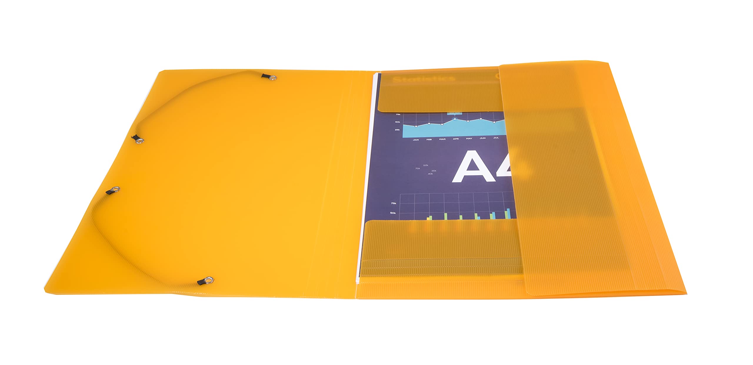 Exacompta 55877SE Packung (mit 10 Sammelmappen Linicolor, mit 3 Klappen, Gummizug, aus festem PP, DIN A4, 21 x 29,7 cm) 10er Pack farbig sortiert