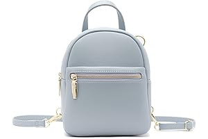 Pretty Small Purse Backpack