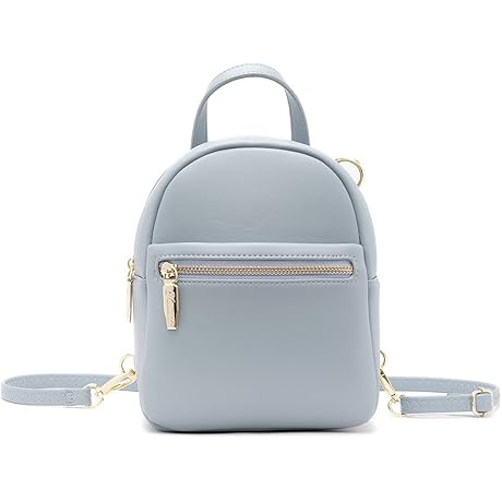 Pretty Small Purse Backpack