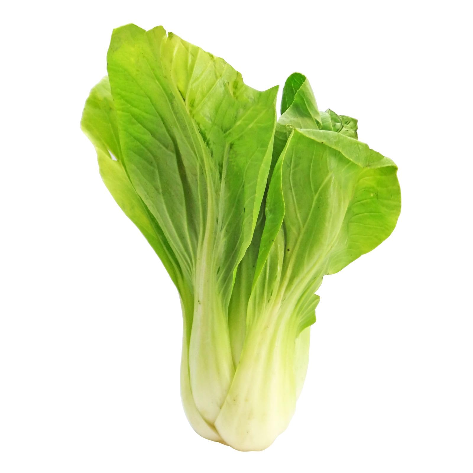 Nelesa Gardening Pak Choi Bok Choy Chinese Cabbage Vegetable Seed - 30 Seeds pack (B00IRZNPK2) Amazon Price History, Amazon Price Tracker
