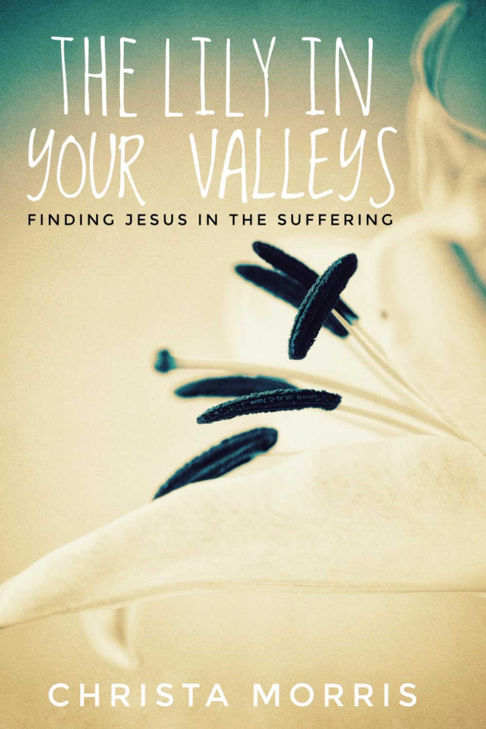 THE LILY IN YOUR VALLEYS: Finding Jesus in the Suffering