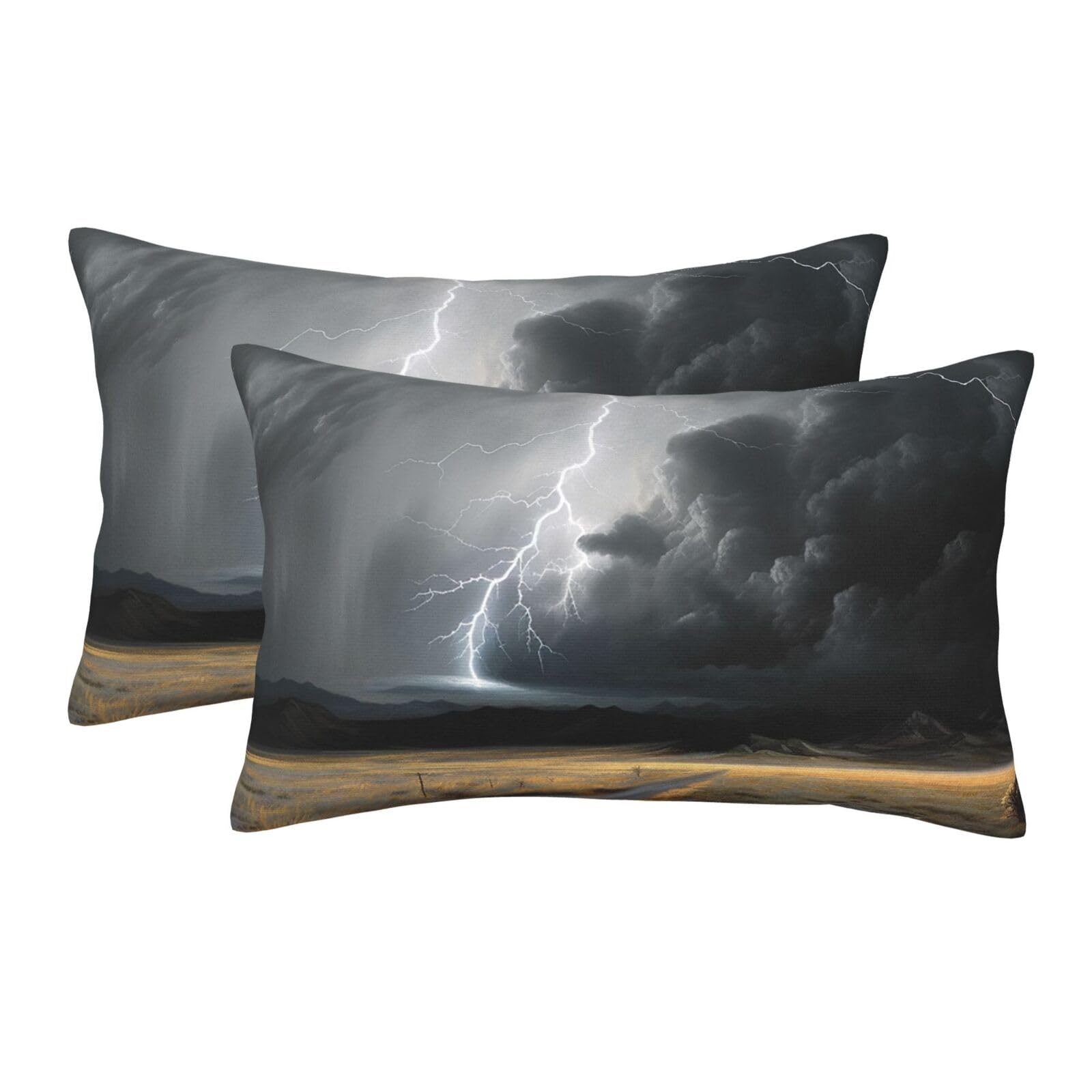 2 Pack Standard Size Pillow Cases for Hair and Skin Soft Breathable Pillow Case Covers with Hidden Zipper Thunder Landscape Pillowcase 16"x24" Pillow Cover for Sleeping Gift