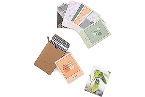 Stay Present, Goddess: Healing Affirmation Tarot Cards & Guidebook