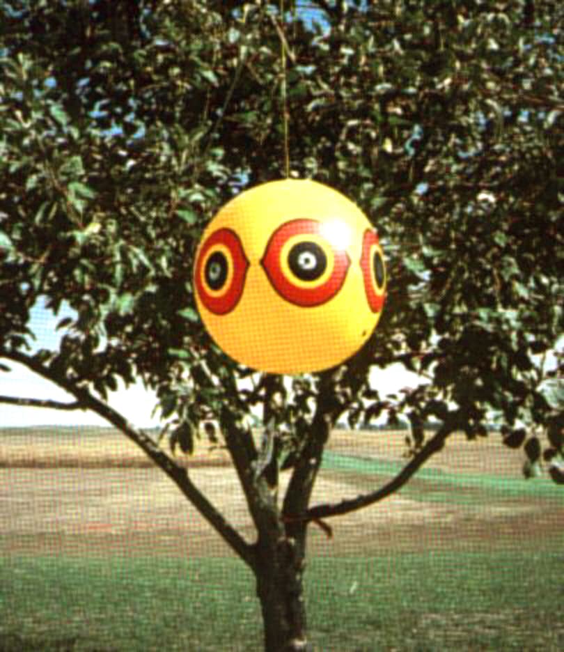 Globo Scare Eye Bird-X amarillo para evitar daños de aves en balcones 7