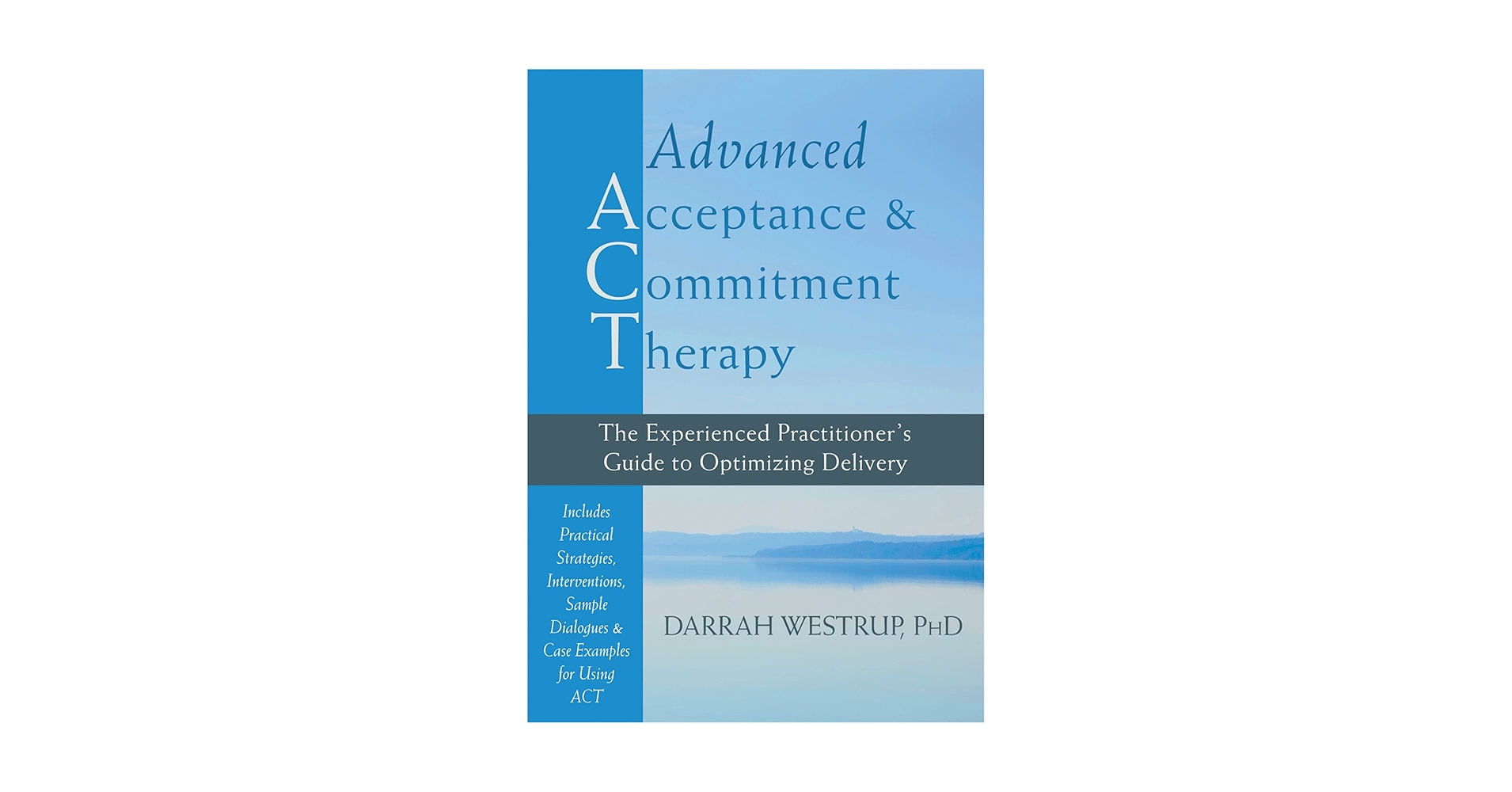 特価！ACCEPTANCE AND COMMITMENT THERAPY 字幕 Acceptance and Commitment Therapy: The Process and Practice