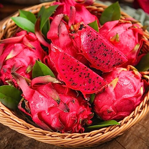 200 semillas de pitahaya de fruta de dragón, fruta de dragón, plantas de jardín de rocas, resistentes al invierno, semillas de frutas Hylocereus Undatus, Pitaya, invernadero balcón, semillas