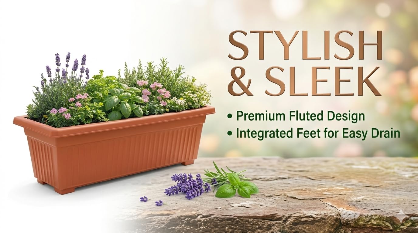 View 6