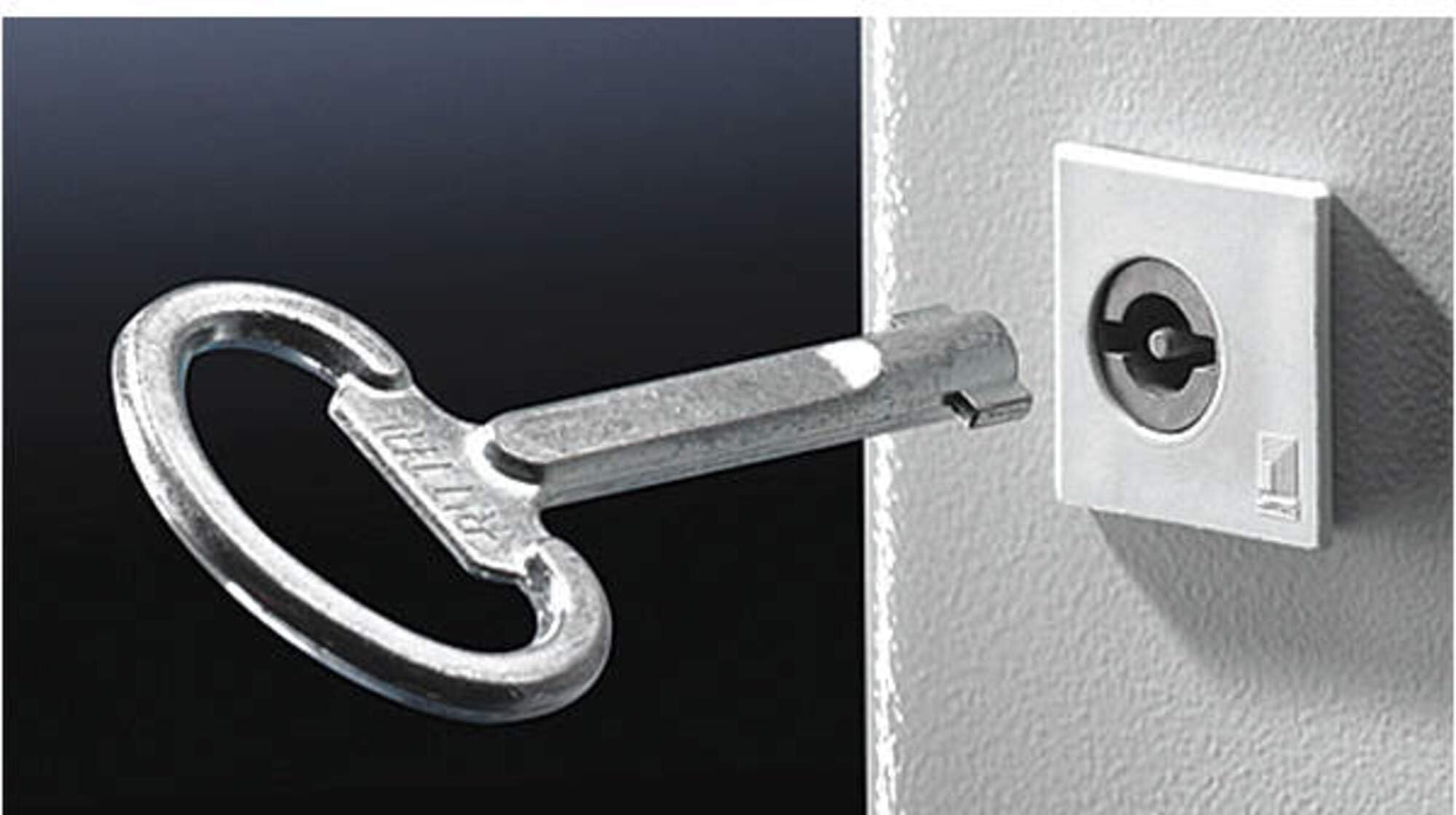 Enclosure Key, Double-Bit No. 5, Matte-picture-15