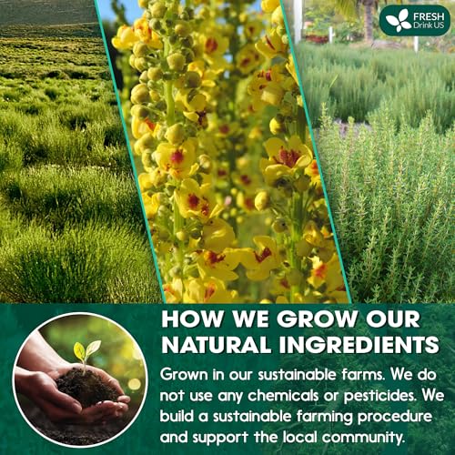 Image of FreshDrinkUS, StrongerLungs 75 Tea Bags - Mullein Leaf, Ginseng, Elderberry, Ginger & Thyme - Supports Lung Cleanse, Congestion Relief & Mucus Detox - Caffeine-Free & All-Natural