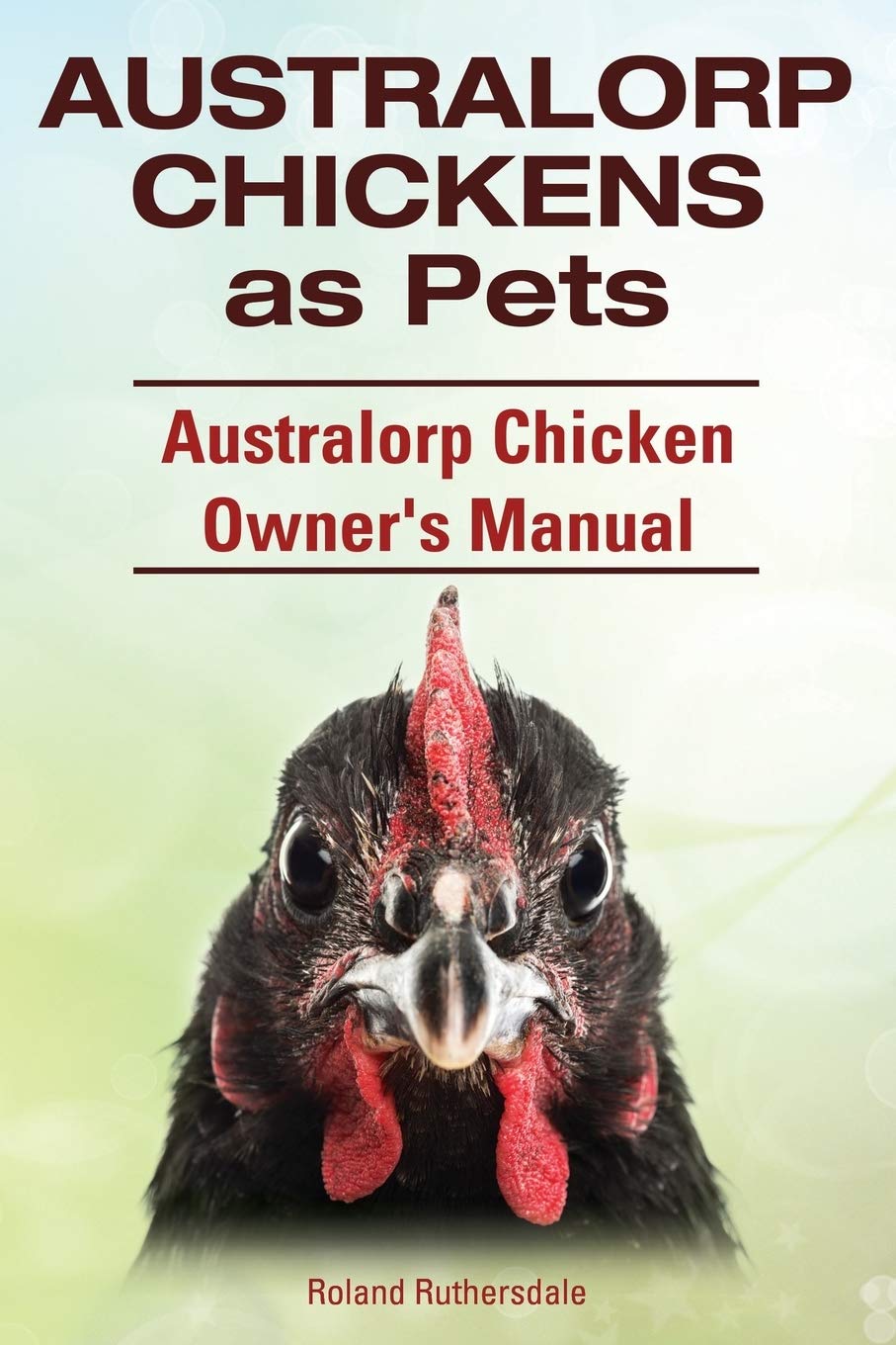 Australorp Chickens as Pets. Australorp Chicken Owner's Manual.      Paperback – October 6, 2014
