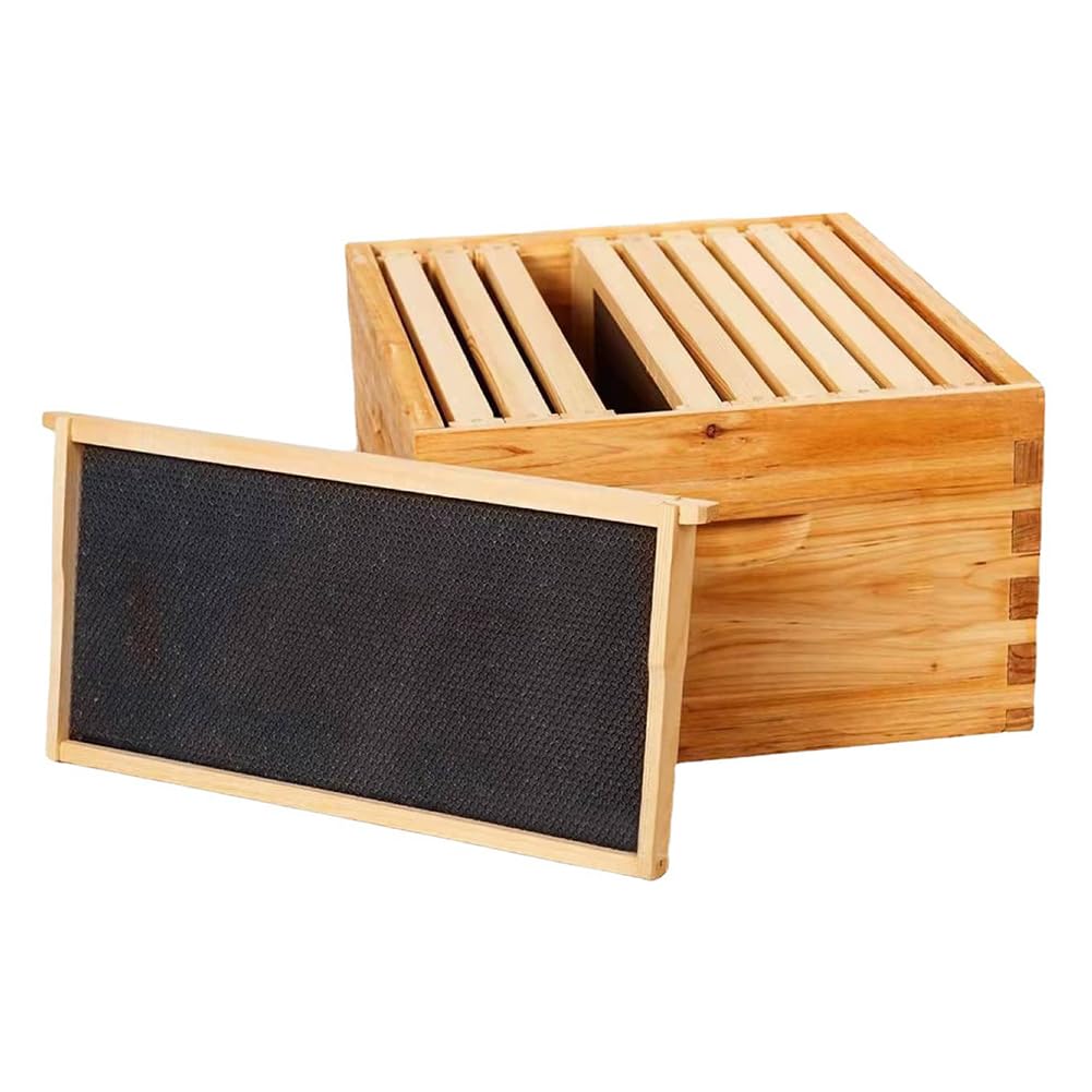 Bienenstock-Starterset,10 Rahmen Bienenstock Bienenwachs Beschichtet BienenstöCke FüR Alle Imkerei Ebenen Komplette Bienenstock Kit EnthäLt 1 Tief Boxen 1 Medium Box Frames Und Stiftung BläTter