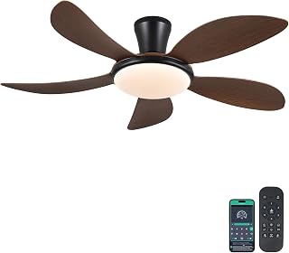 PHORUS Low Profile Ceiling Fans with Lights and Remote/APP,48 Inch Modern LED Ceiling Fans with Quiet Reversible DC Motor, Dimmable 3 Colors 6 Speeds