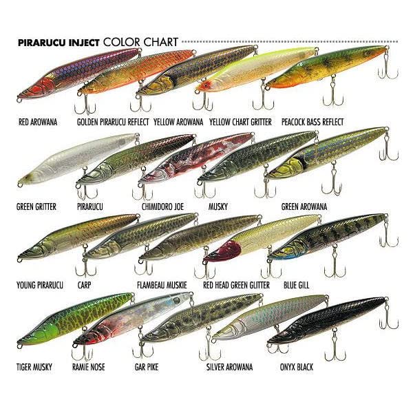 Amazon.co.jp: VAGABOND ピラルク― インジェクト PI-116PAN レッド