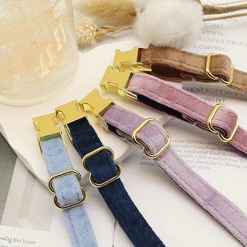 Miniatura 6 de Collar de gato personalizado con placa de nombre collar ajustable de nailon resistente para identificación de gato con campana personaliza grabando