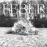  Feber