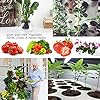 ORIMERC 12 Pack 3 inch Net Cups Pots with 12 feet Hydroponics Self Watering Wick & 12 Plant Labels Aquaponics Mason Jar Bucket Insert Orchid kratky Vegetable Garden Growing Netted Basket Slotted Mesh #4