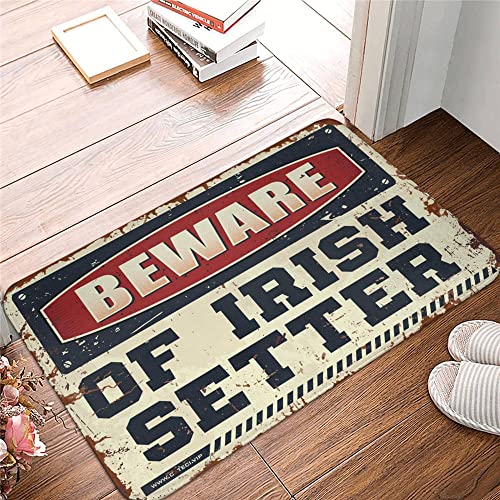 Tapis de classe Irish Setter COTECI pour entrée chaleureuse