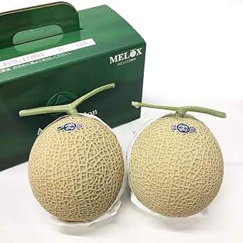 静岡県産　アローマメロン　2玉　約3kg以上 アローマメロン 静岡県産 2玉 山等級 贈答用 : 水琴果楼 - 通販