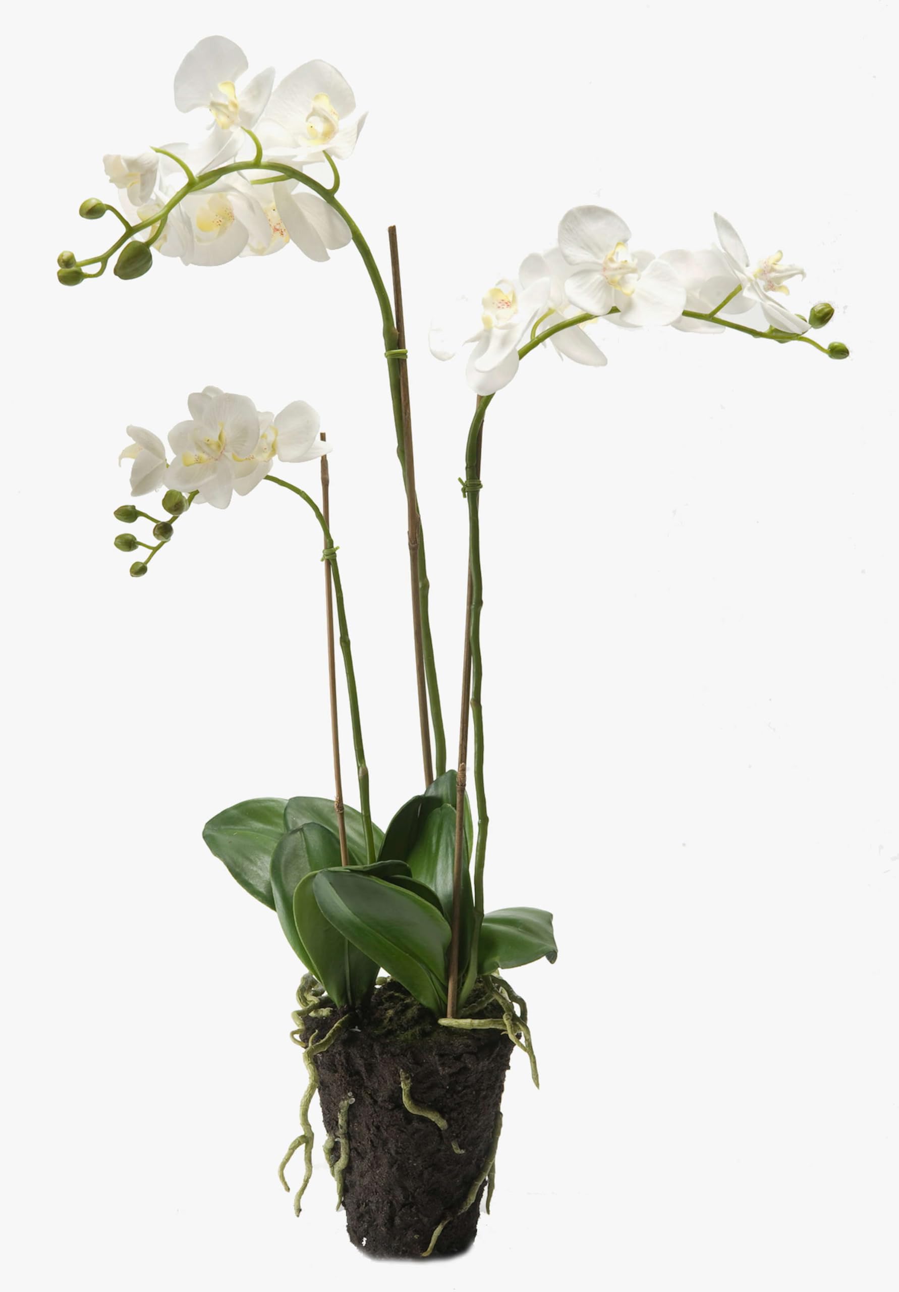 artplants.de Künstliche Phalaenopsis Orchidee Pabla im Erdballen, weiß - gelb, 70cm - hochwertige Kunstorchidee