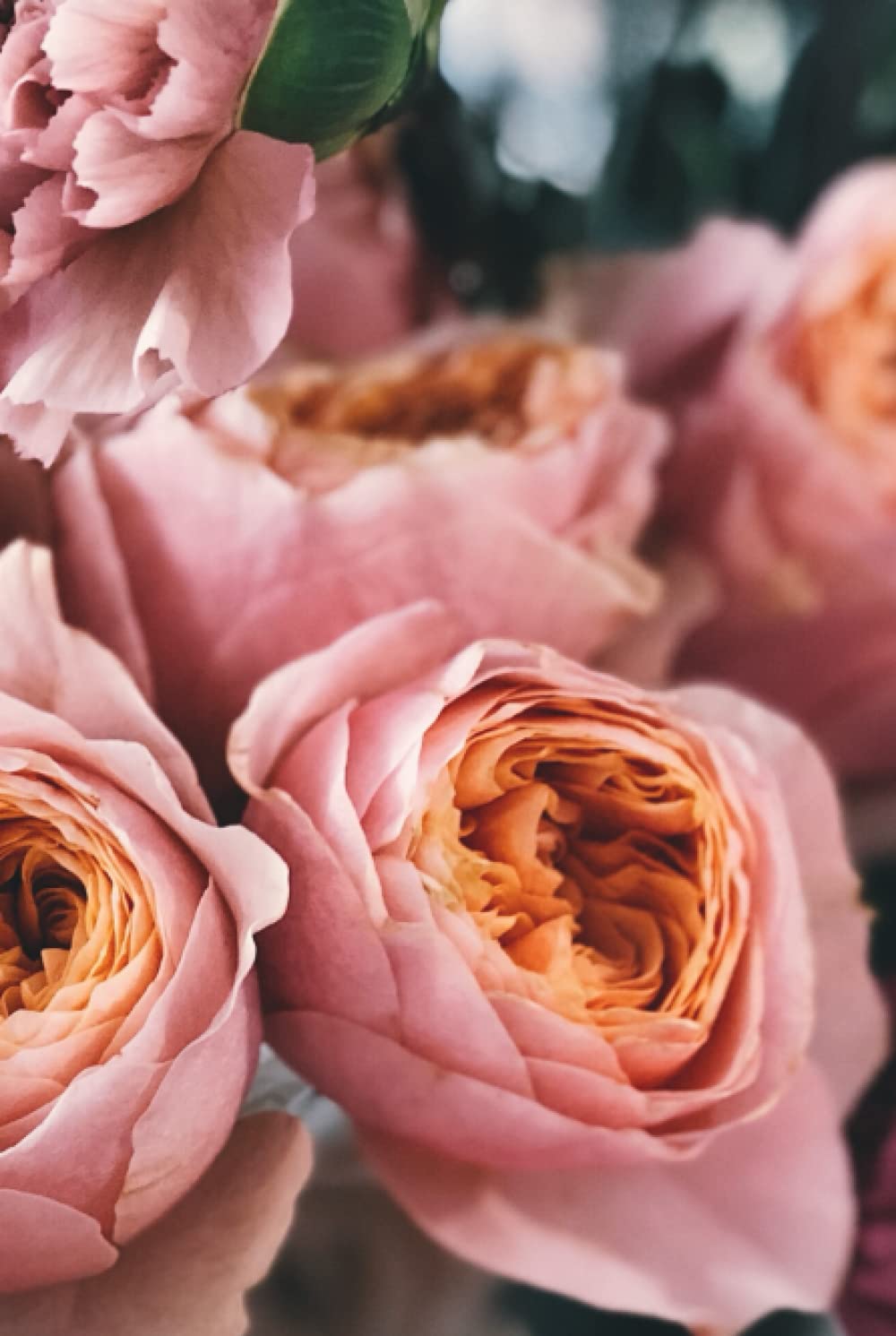 Pink Flowers Coffee Table Book