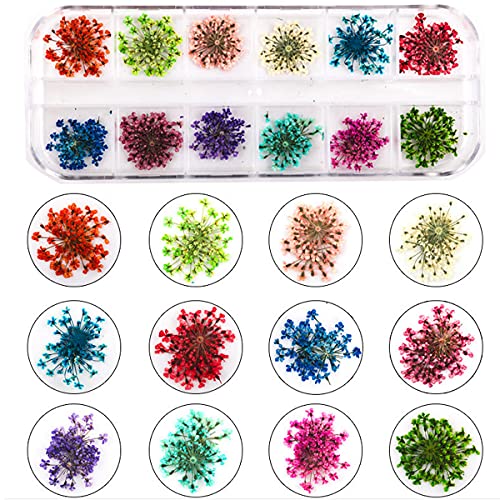 3 Doos Nagel Gedroogde Bloem,Real Natural Dried Flowers,Gedroogde Bloem Nagelkunst,Mini Nagel Gedroogde Bloemen Voor… - Afbeelding 8