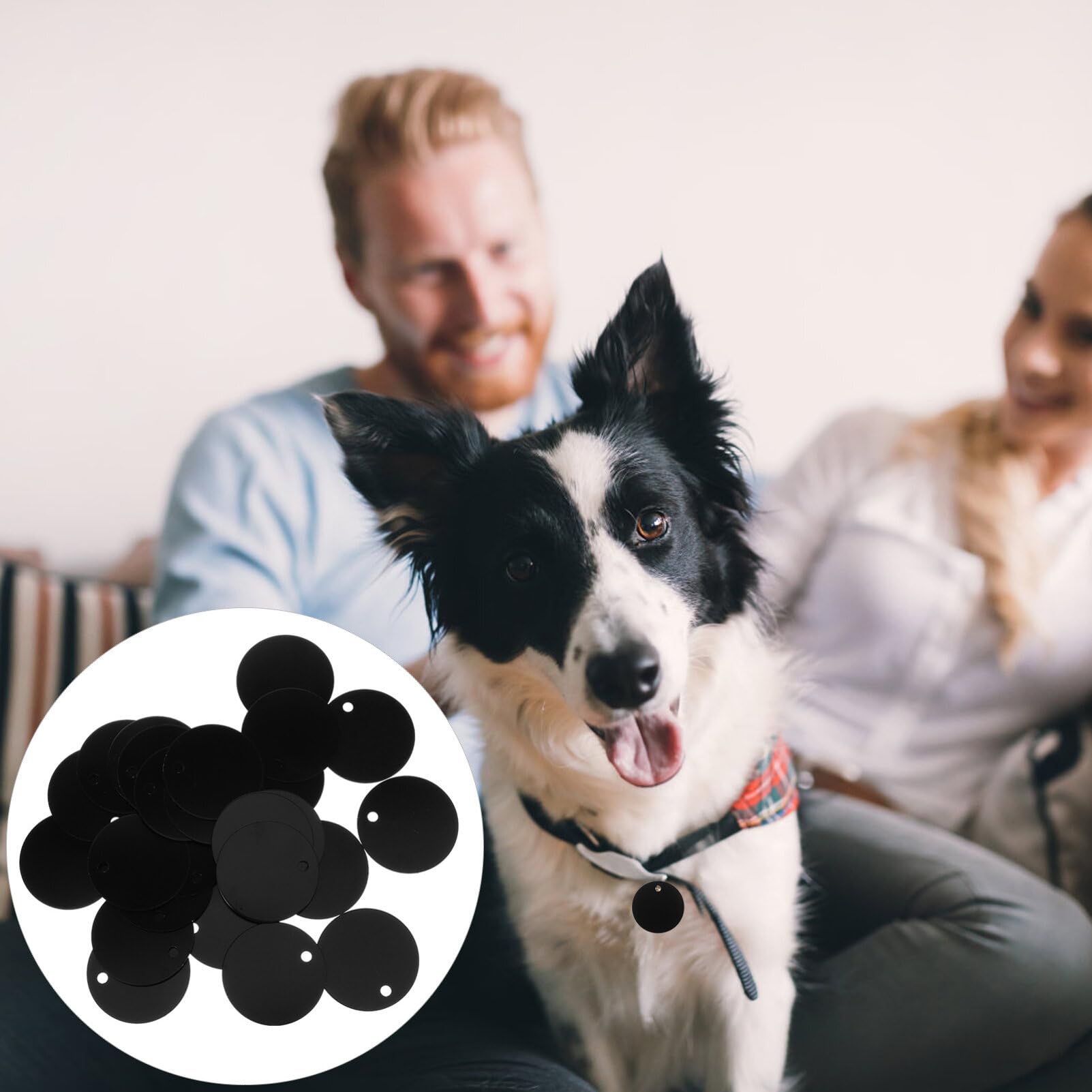 Étiquettes D’identification Chien Rondes en Alliage D’aluminium 25 Pièces