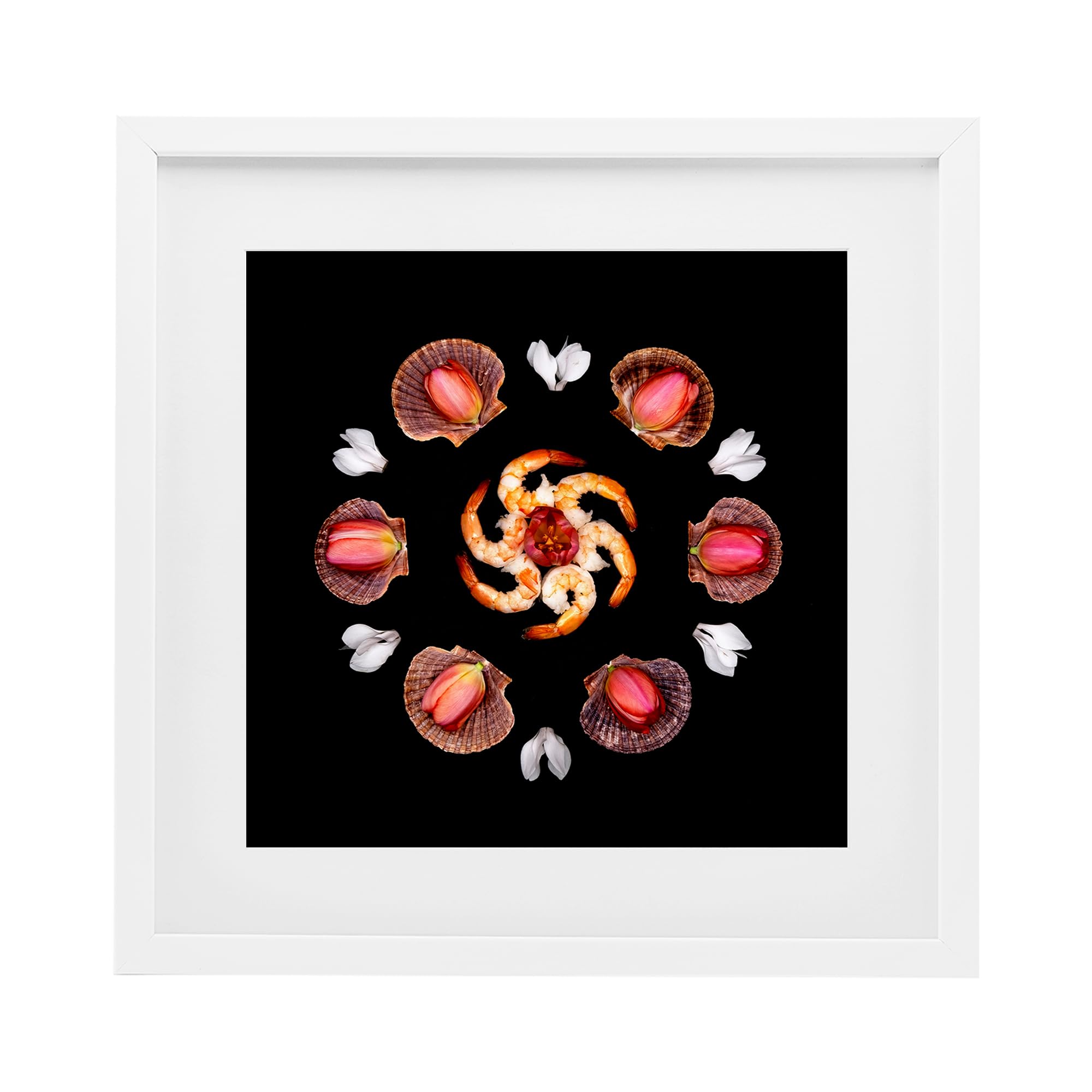 Stupell Industries Coastal White (Textured) 'Seashells & Tulips Symmetry'| Framed Print Under Glass