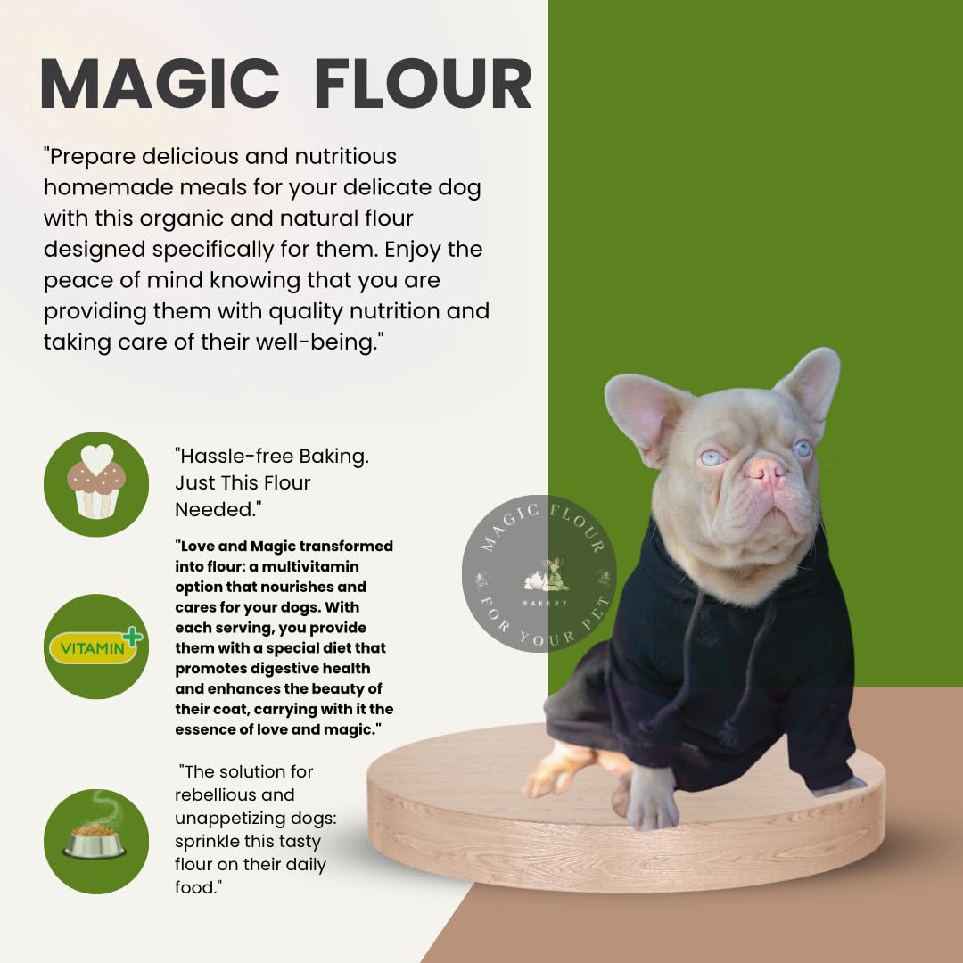 Scoochie Pet Chef Scoochies Chicken Dog Food in Gravy 14 Ounce Pop Top Can, Pet Foods and Supplies