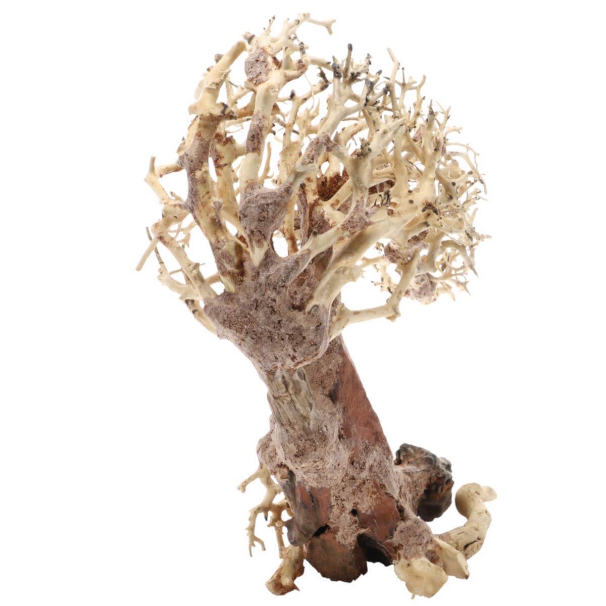 Dupla Root Crooked L, 40 x 20 x 30 cm, raíz hecha a mano para acuarios