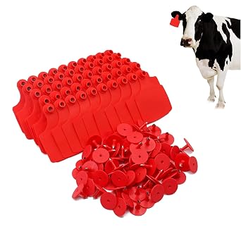4.1 L3.5W Livestock Ear Tags Big Blank 100PCS Identification TPU Precision Tags for Cattle Cows Pigs Hog Goats Sheep Calf Animal Red