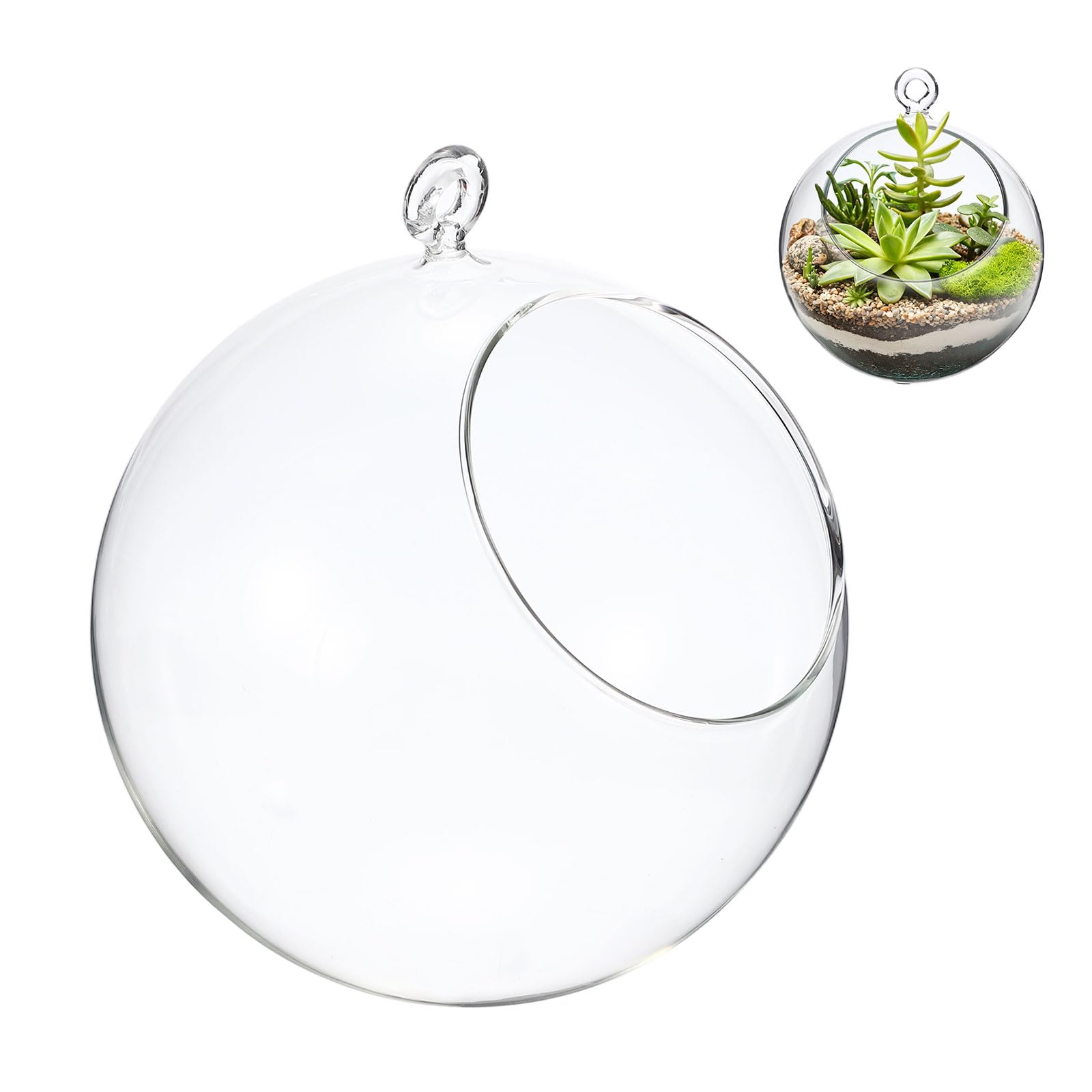 M METERXITY 1-Pack Clear Glass Air Plant Terrarium, 3.4 Inch Angled with Handle Plant Display Glass for Windowsill/Outdoor Garden/Home Decor, Flat Bottom Globe Bowl Terrarium [Transparent]