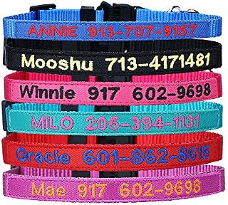 Personalized Nylon Cat Collar Break Away with Bell - Custom Embroidered Text ID