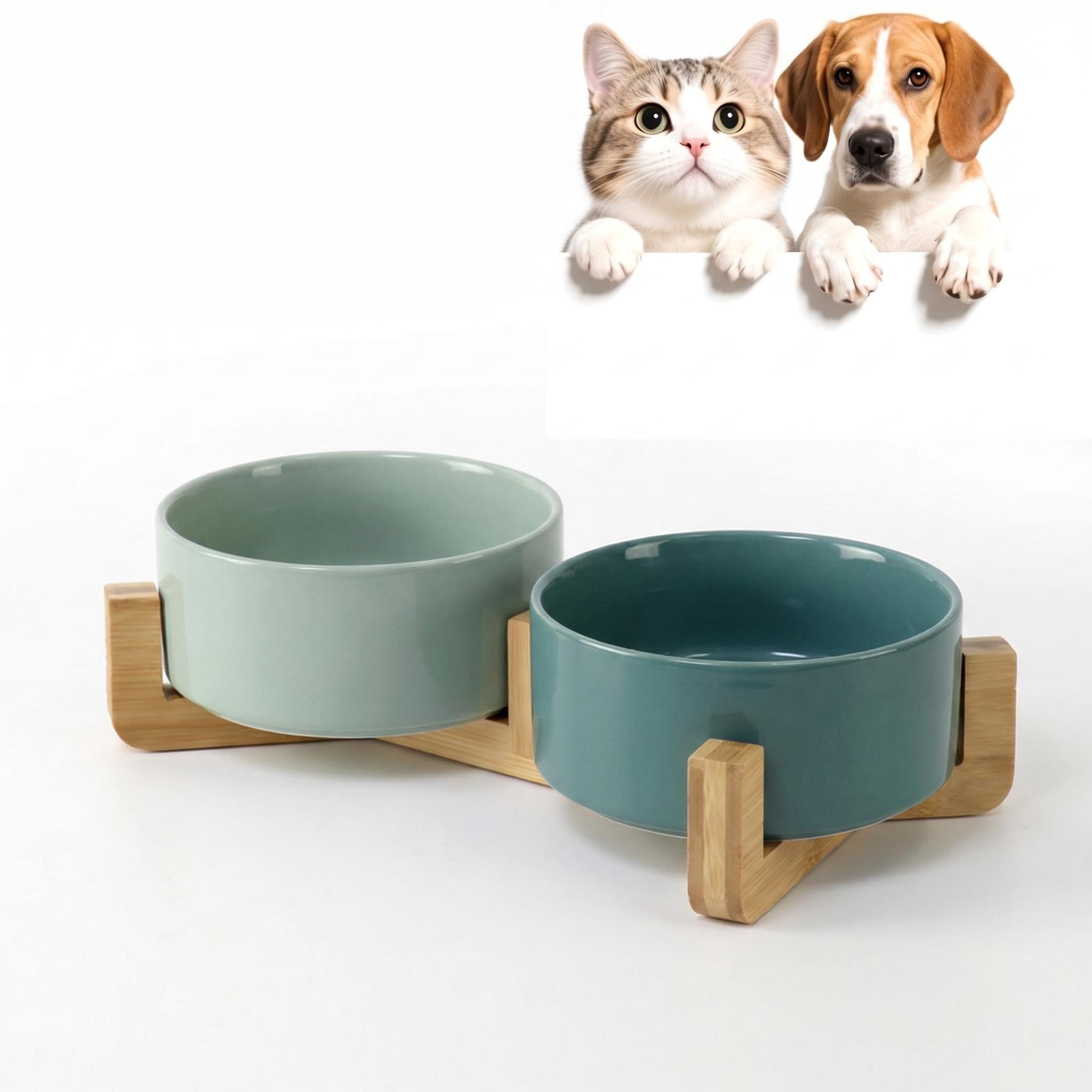 Gamelle céramique chat surélevée double support bambou vert 2x400ml