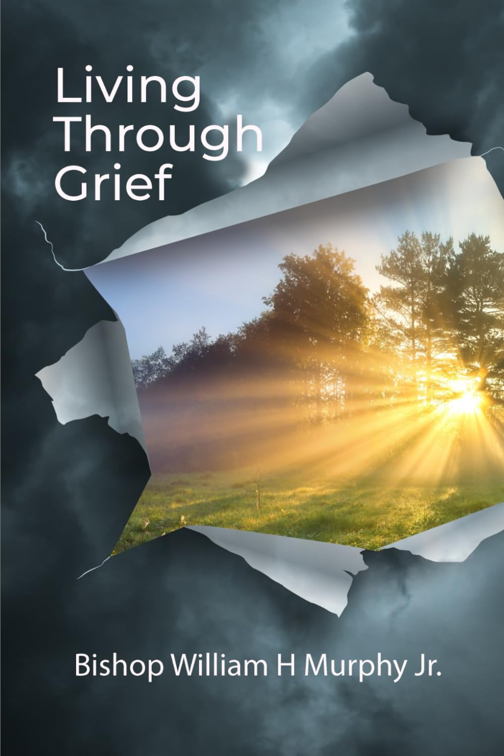 Living Through Grief: Finding God’s Presence, Healing, and Hope in the Valley of Loss