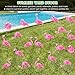 Subacy 20 PCS Pink Flamingo Yard Signs with 40 Stakes Summer Beach Flamingo Lawn Sign 10 Styles Tropical Yard Lawn Patio Decorations Party Supplies(Normal)