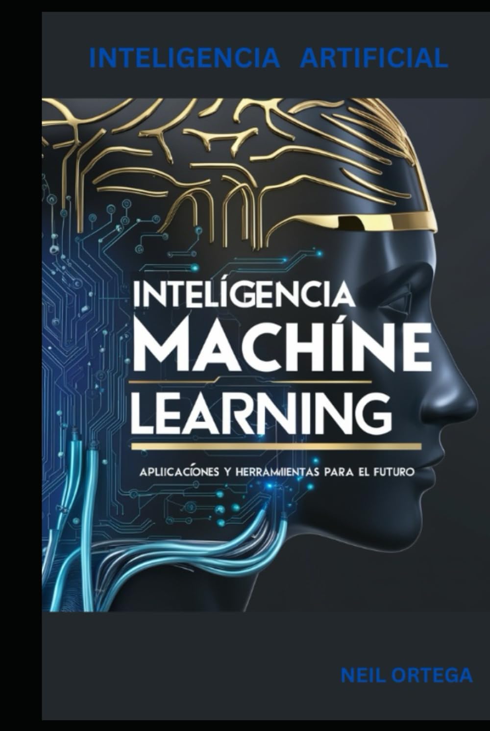 Artificial Intelligence and Machine Learning