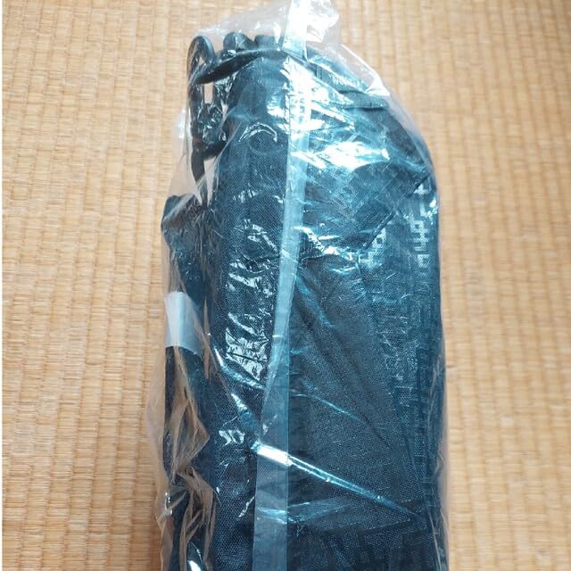 Amazon.co.jp: 布袋寅泰 タケオキクチコラボ バック : おもちゃ