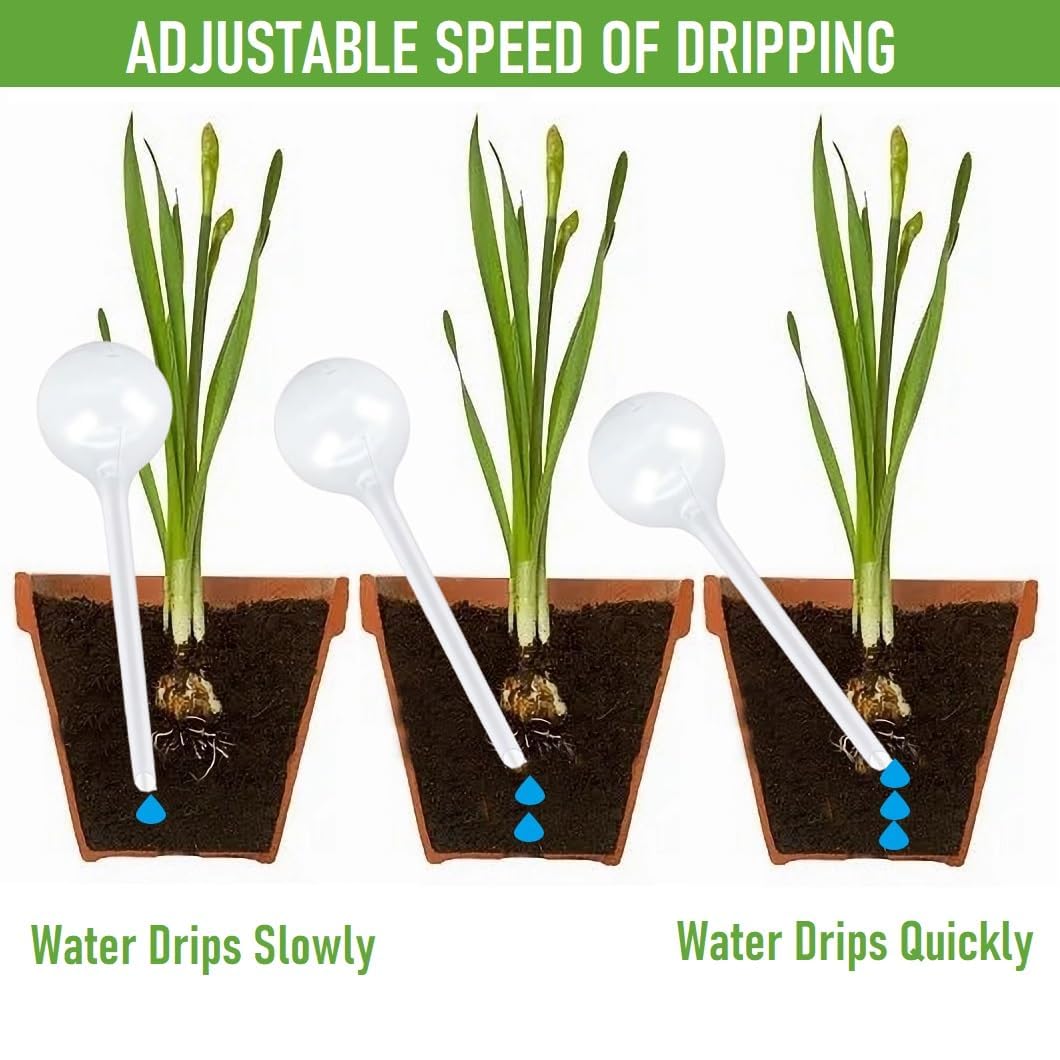 Alluring 6PCS Bewässerungskugeln für Pflanzen 80ml, Selbstbewässerung Watering Globes, Wasserkugeln für Pflanzen, Blumen Wasserspender für Urlaub Indoor Outdoor Balkon Blumentopf Topfpflanzen