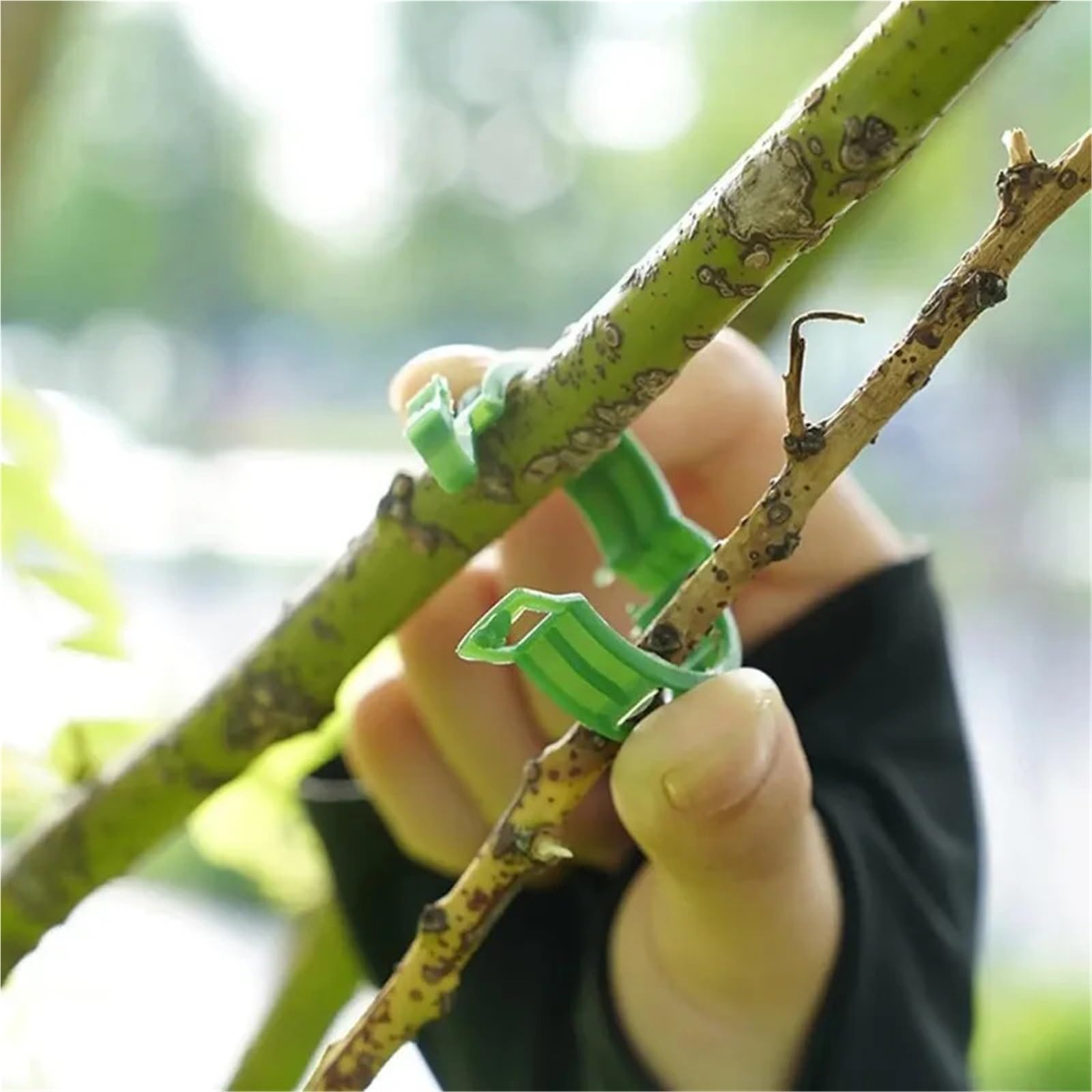 2000 Stück Pflanzenstütz-Clips für Weinveredelung, Befestigungsclip, Weinpflanzen-Halter, Schnalle, Gartenzubehör (grün)