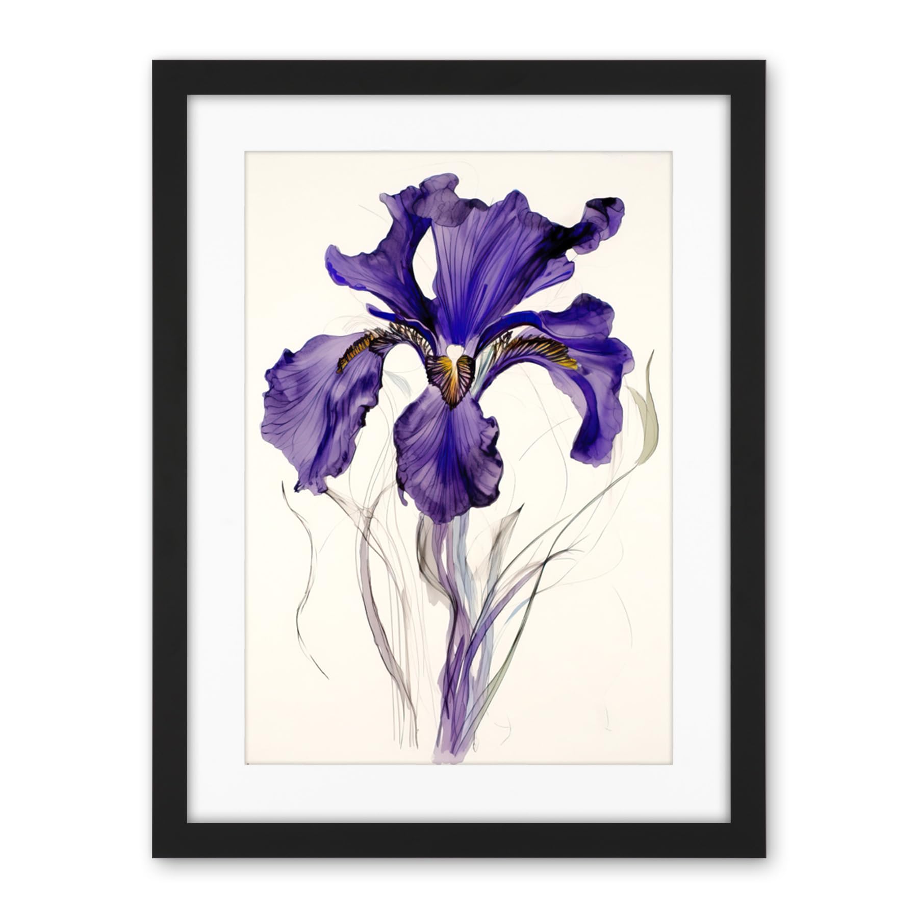 Artery8 Iris Reticulata Watercolour Flower Bloom Drawing Artwork Framed Wall Art Print 18X24 Inch