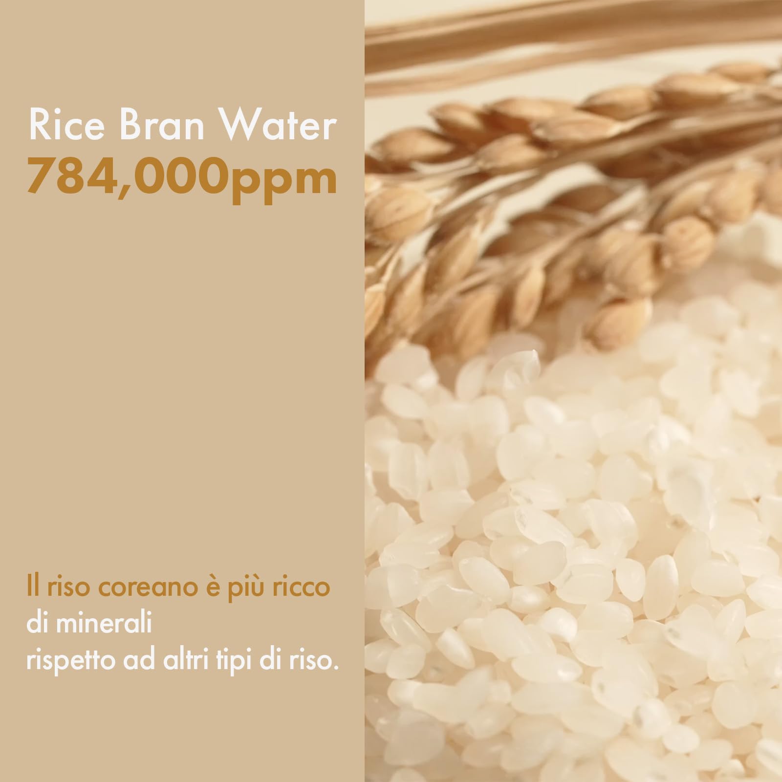 TOSOWOONG Tonico Lattiginoso Illuminante al Riso, 784.000ppm di Acqua di Riso Coreano, Niacinamide, Ceramidi, Panthenolo, Idratante, Senza Profumo, Skincare Coreana, 250ml