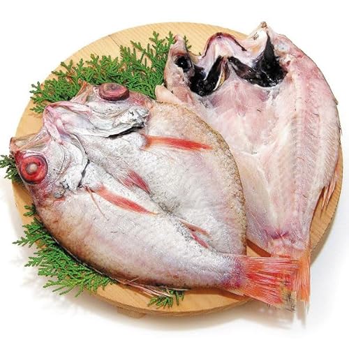 Yi CY ̂ǂ銱2640 ڂ  ̂ǂ