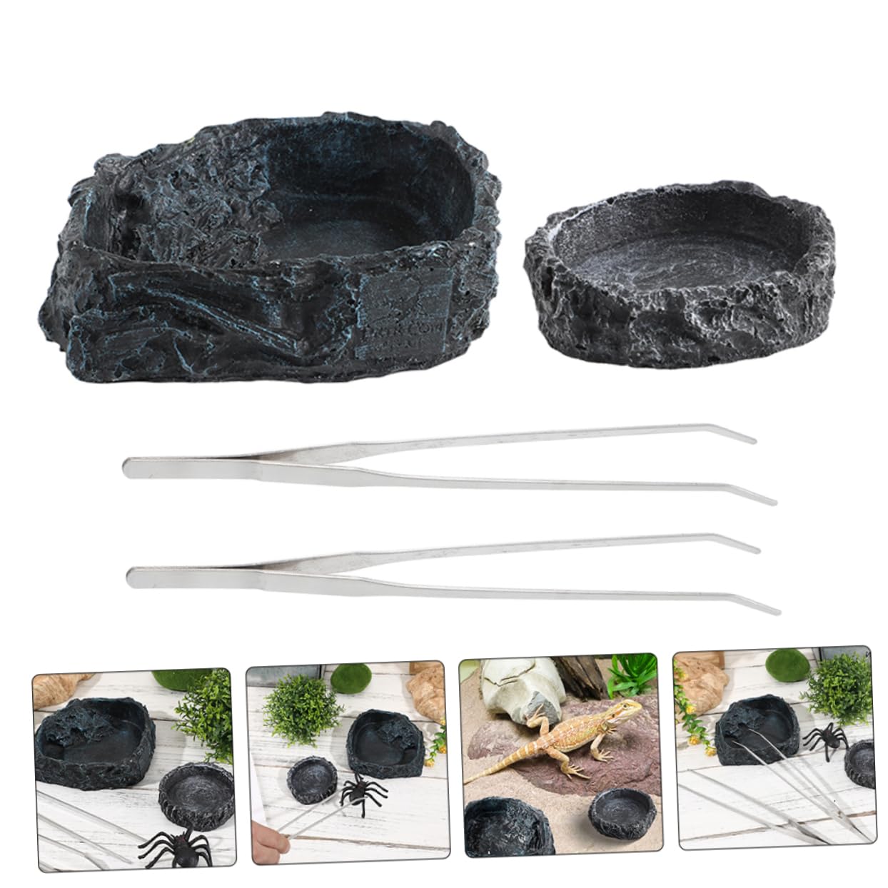 1set Ciotole per Rettili con Pinzette Ciotola per Cibo Drago Barbuto e Abbeveratoio per Tartarughe Accessori per Terrario e Bowls
