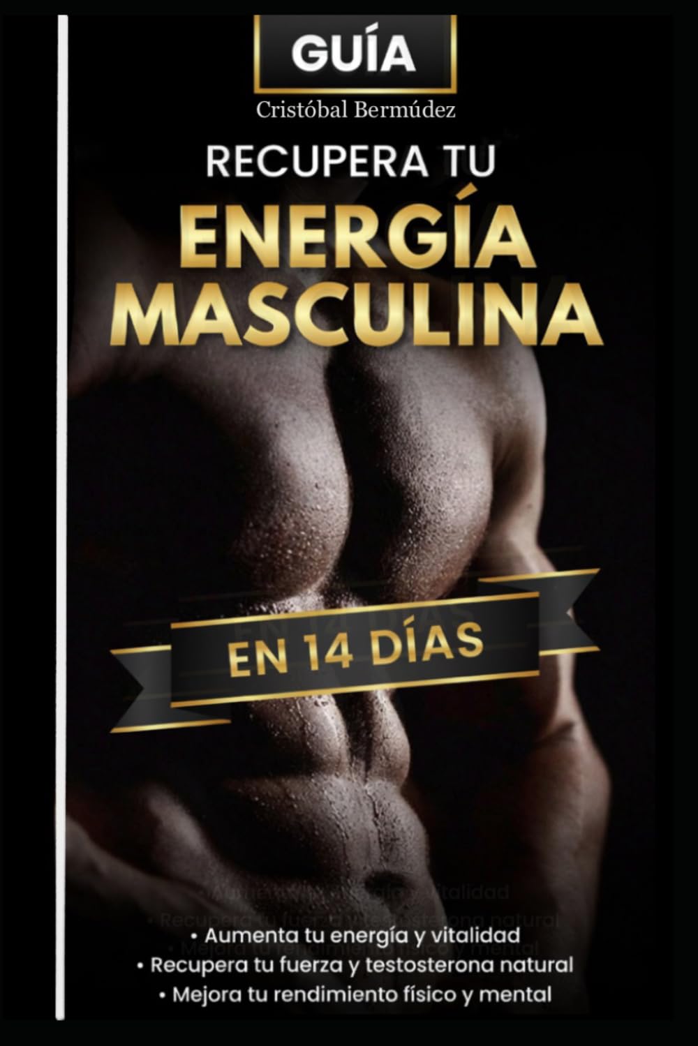 Recupera tu Energía Masculina en 14 Días: Un sistema directo y práctico para dejar de sentirte drenado, recuperar tu fuerza interna y volver a sentirte tú mismo (guías de salud intermedias)