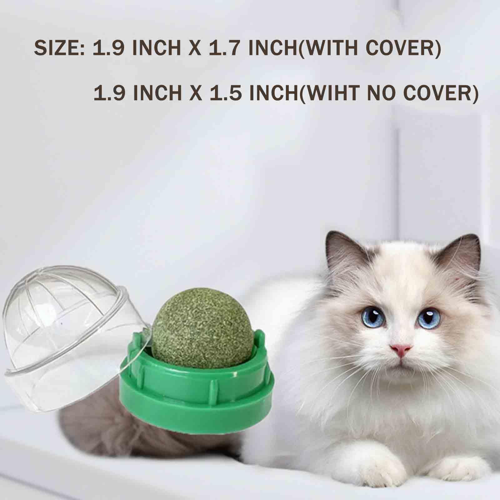 AOODOOM 6 PCS Catnip Balls - Catnip Roller Balls That Stick On Wall