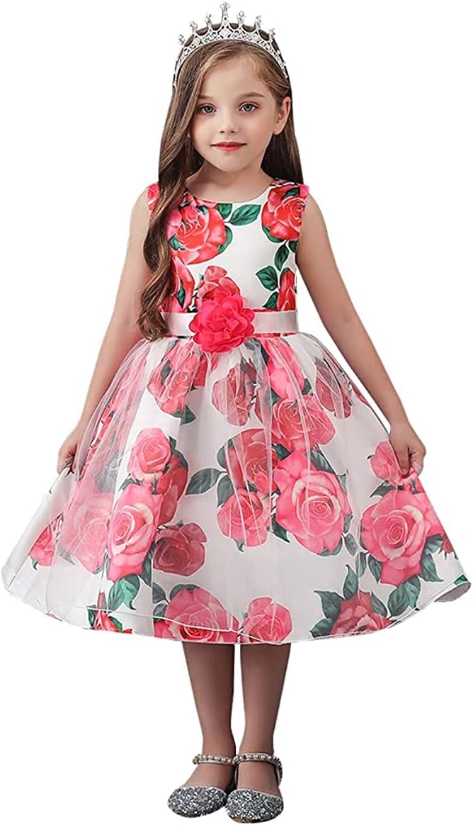 Girl Dress Kids Ruffles Lace Party Wedding Bridesmaid Dresses